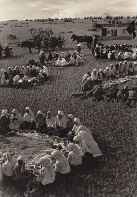 Prânz pe câmp. 1934